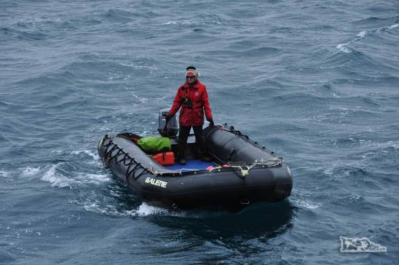 Voltando da praia para pegar mais uma leva de passageiros para desembarcar em Carcass Island, no noroeste das Ilhas Malvinas